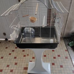 cage oiseaux + support a roulettes+ accessoires